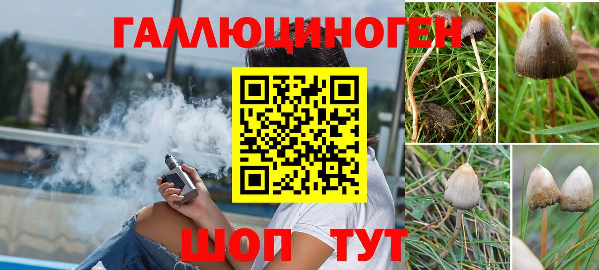 Псилоцибиновые грибы мицелий Кемерово